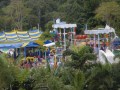 Tn DSC 4386
